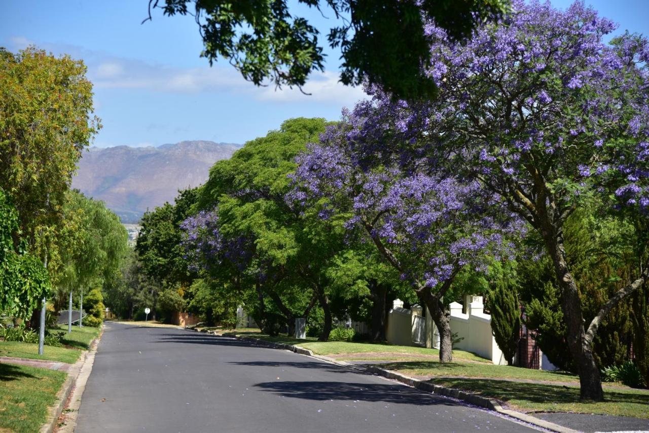 Yebo Boutique Guesthouse Somerset West Zewnętrze zdjęcie